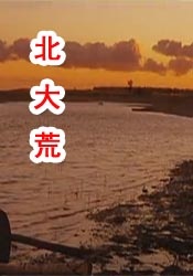 欧美大战